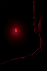 Poster to the movie "Stir of Echoes" #794290
