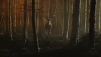 Backdrop to the movie "Bambi: The Reckoning" #832474