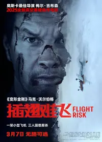 Poster to the movie "Flight Risk" #763544