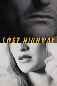Poster to the movie "Lost Highway" #533664