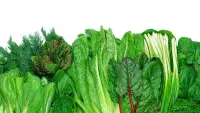 Backdrop to the movie "Foods That Cure Disease" #729163