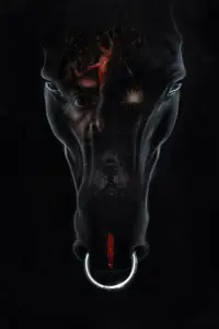 Poster to the movie "UI" #655615