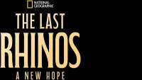 Backdrop to the movie "The Last Rhinos: A New Hope" #870644