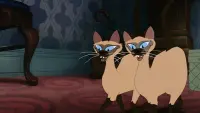 Backdrop to the movie "Lady and the Tramp" #854505