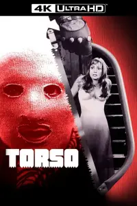 Poster to the movie "Torso" #956437