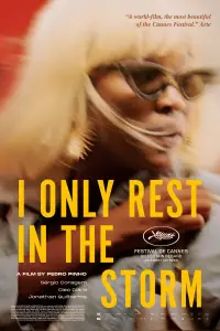 Poster to the movie "I Only Rest in the Storm" #593647