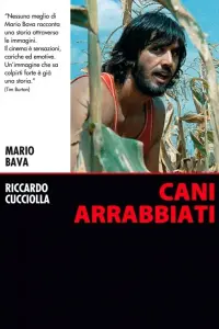 Poster to the movie "Rabid Dogs" #795679
