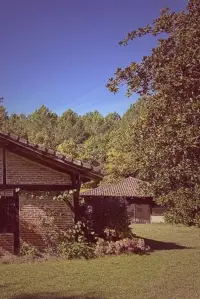 Poster to the movie "Latche, l