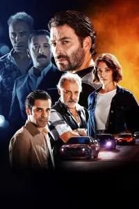 Poster to the movie "Phoenix" #838633