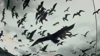 Backdrop to the movie "Leviathan" #788453