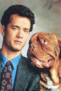 Poster to the movie "Turner & Hooch" #659757