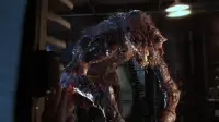 Backdrop to the movie "The Fly" #821065