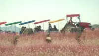 Backdrop to the movie "세하별" #805211