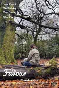 Poster to the movie "The Favour" #1059108