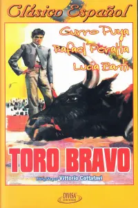 Poster to the movie "Toro bravo" #864092