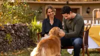 Backdrop to the movie "Love Is a Dog