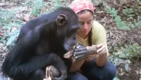 Backdrop to the movie "Lucy the Human Chimp" #896966