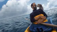 Backdrop to the movie "Pets" #739372