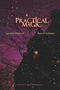 Poster to the movie "Practical Magic" #835098