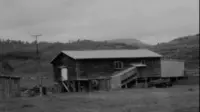 Backdrop to the movie "Nightshave" #632779