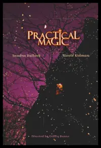 Poster to the movie "Practical Magic" #835097