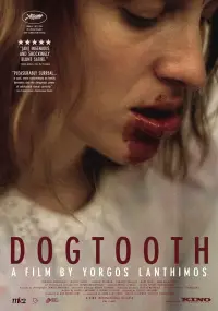 Poster to the movie "Dogtooth" #957006