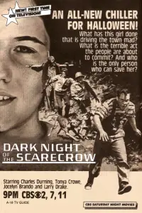 Poster to the movie "Dark Night of the Scarecrow" #972065