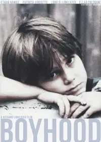 Poster to the movie "Boyhood" #1070600