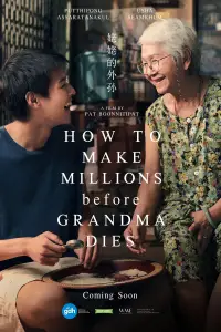 Poster to the movie "How To Make Millions Before Grandma Dies" #609387