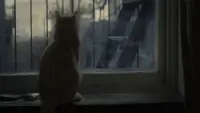 Backdrop to the movie "Inside Llewyn Davis" #532164