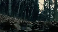 Backdrop to the movie "Moth" #728672