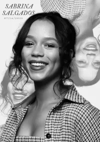 Poster to the movie "Sabrisalgados" #797306