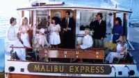 Backdrop to the movie "Malibu Express" #622980