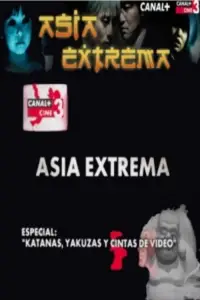 Poster to the movie "Katanas, yakuzas y cintas de video" #1162215