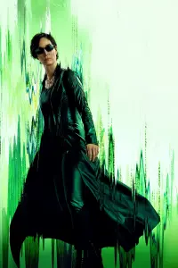 Poster to the movie "The Matrix Reloaded" #791682