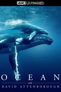 Poster to the movie "Ocean with David Attenborough" #990203
