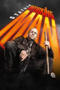 Poster to the movie "Levon