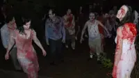 Backdrop to the movie "Island: Wedding of the Zombies" #849241