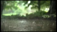 Backdrop to the movie "Reflections in a Raindrop: A Student Film" #710808