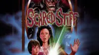 Backdrop to the movie "Scared Stiff" #1058676