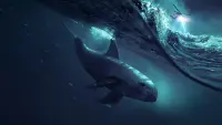 Backdrop to the movie "Sea of Shadows" #782629