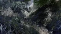 Backdrop to the movie "Alien Predator" #796419