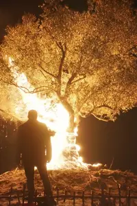 Poster to the movie "Noah Land" #1104567