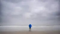 Backdrop to the movie "Ocean with David Attenborough" #729224