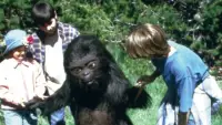 Backdrop to the movie "Little Bigfoot 2: The Journey Home" #875337
