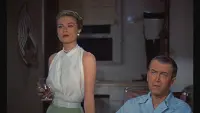 Backdrop to the movie "Rear Window" #430908