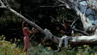 Backdrop to the movie "Pierrot le Fou" #693188
