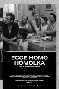 Poster to the movie "Behold Homolka" #537457