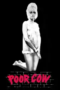 Poster to the movie "Poor Cow" #742735