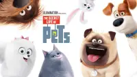 Backdrop to the movie "The Secret Life of Pets" #1021408